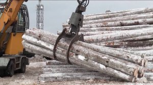 Китай стал главным экспортёром Вологодской области в лесной отрасли