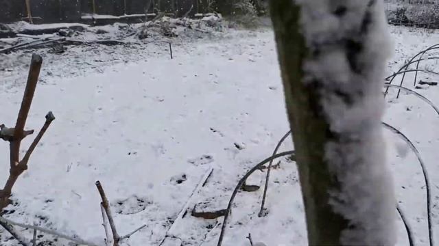 Веснуем!!! смотреть онлайн