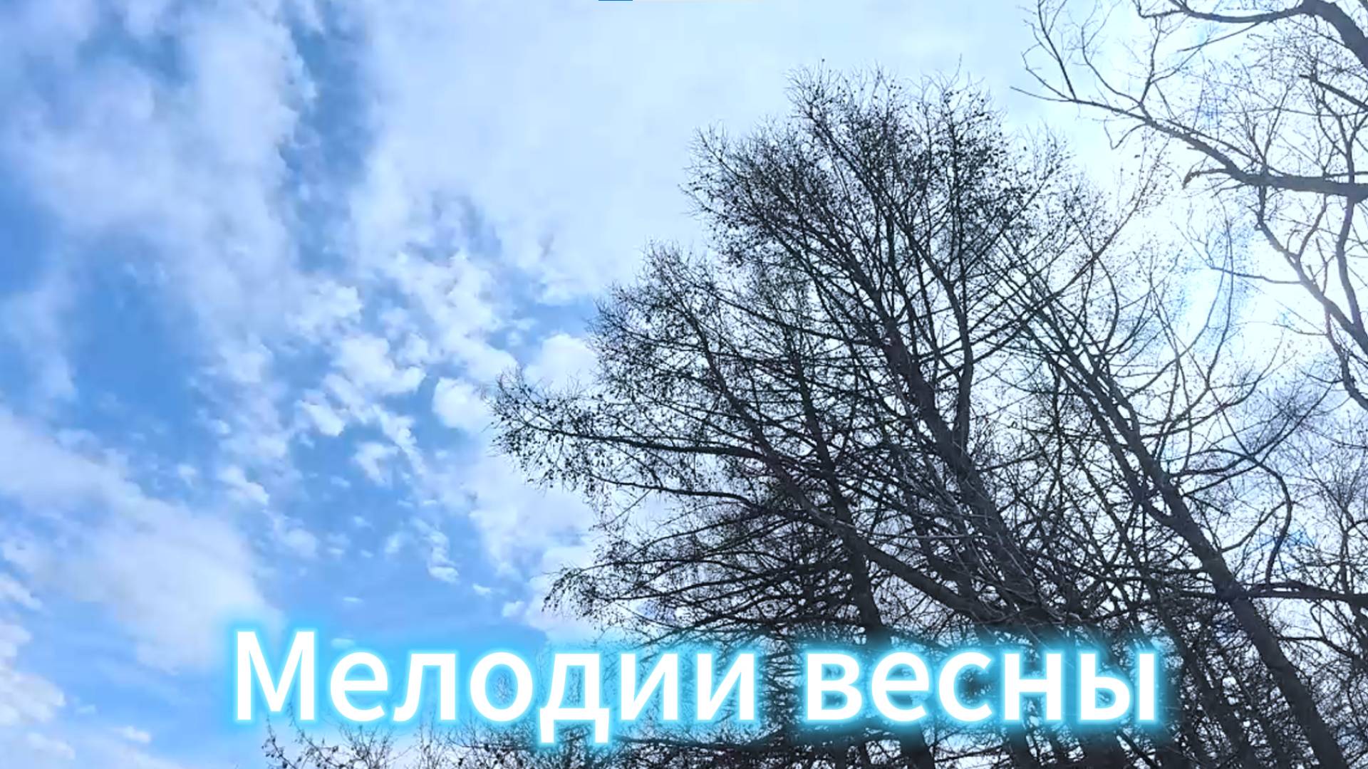 Весна,лес,прогулка