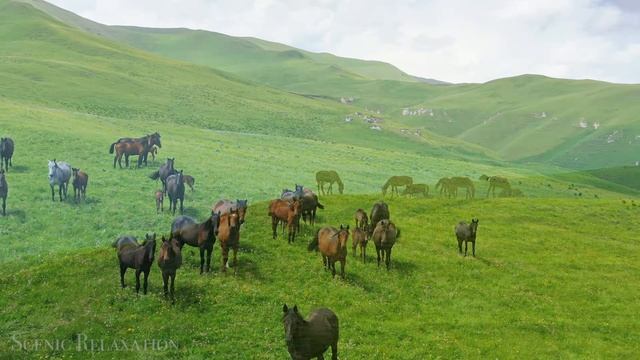 Казахстан HDR UHD Video