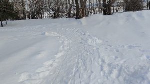 зима в деревне, деревенская жизнь