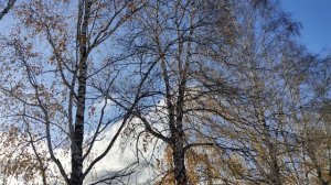 красивое деревенское небо, жизнь в деревне