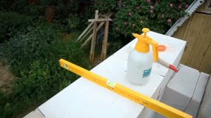 24 июня 2022 г.