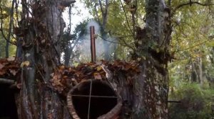Выживание в дереве с собакои