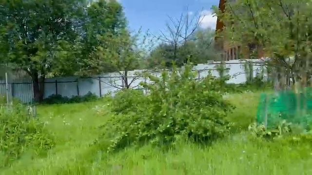 Дача красивое видео смотреть онлайн