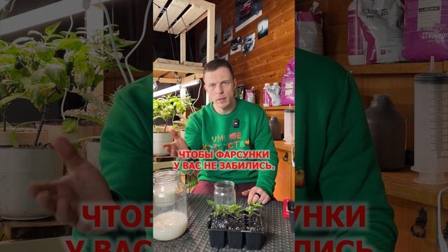 ЭТО УДОБРЕНИЕ ТВОРИТ ЧУДЕСА