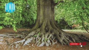 Артериальное давление. ВОЗВРАЩЕНИЕ ПРИРОДНОЙ СИЛЫ.