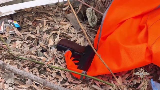 Ирина Волк: В Тюмени оперативники задержали подозреваемого в разбойном нападении смотреть онлайн