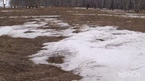 деревенская жизнь, в Алтайском крае