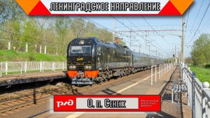 Самое цветастое направление РЖД. Поезда на Ленинградском направлении от рассвета до полудня