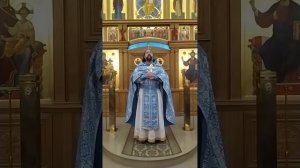 Благовещение Пресвятой Богородицы. Благая весть от Господа. Проповедь о. Андрея. 7.4.25