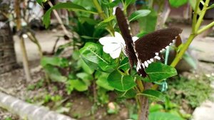 5106968-uhd_2560_1440_30fps