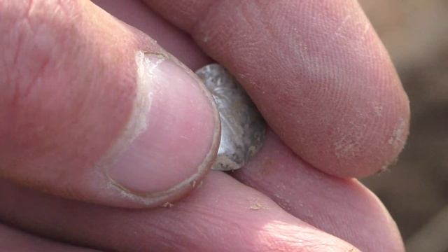 Очешуевший или как Дед Егор и Дед Хабар подкололи друг друга. Коп 2020 у села времен Ивана Грозного смотреть онлайн