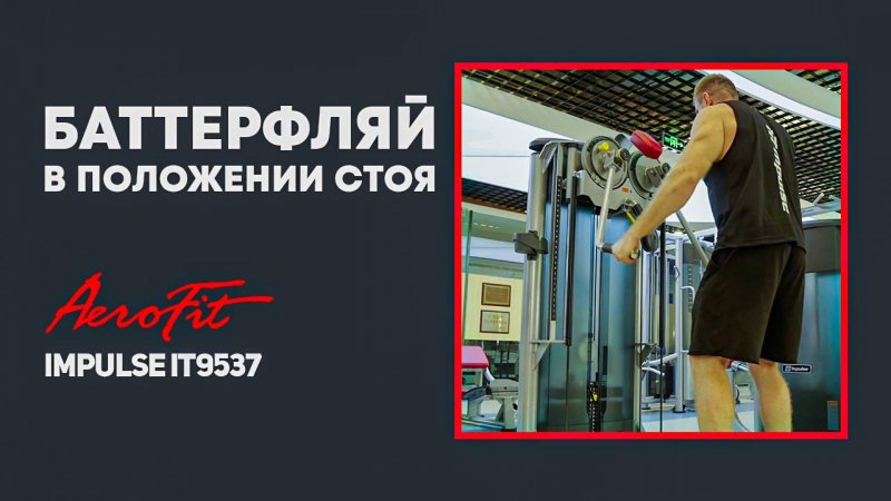 Баттерфляй / дельты стоя многопозиционный, профессиональный тренажерImpulse IT9537