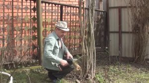 Уборка на даче// Обзор и испытание аккумуляторной, цепной, мини - пилы