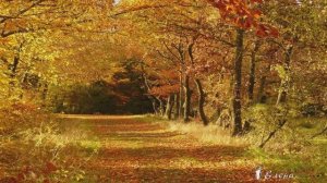 Спасибо утро, что обрадовало нас*