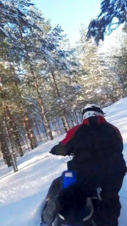 ЭНДУРО - Снегоход Лучший Для Активного Отдыха!