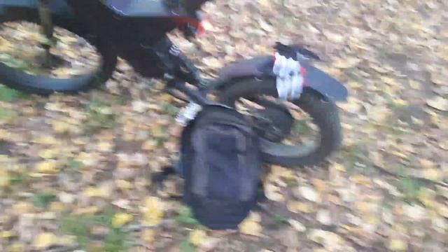 Велес 5.5 и лес смотреть онлайн