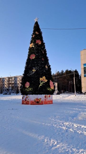 Ёлочка в Костомукше 16.11.23г.