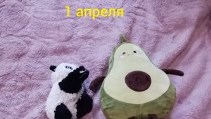 панды шор 9 1 1 апреля