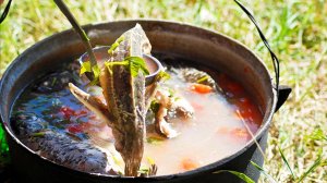 Гимн рыбацкой ухе