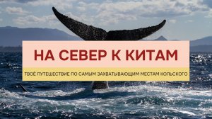 Кольский  → мини-путешествие к северным красотам