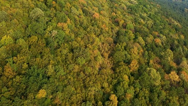 Simurgh, The Secular God of Ancient Persia смотреть онлайн