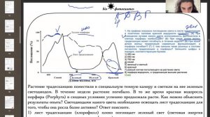 отрывок из урока. подготовка к егэ по биологии. фотосинтез
