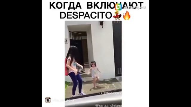 Деспасито прикольное видео!
