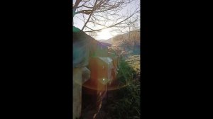 9.04.2025г. Из летков идет пар!