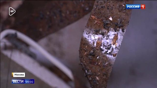 Госдума намерена ужесточить ответственность за несоблюдение санитарных норм в жилых домах