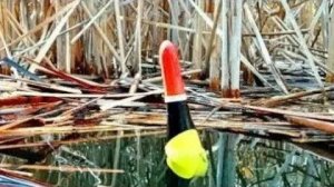 КИНУЛ В ЛУЖУ ПОПЛАВОК,ГДЕ РЫБА КИШИТ! карась, щуки, красноперка! Рыбалка на поплавок.