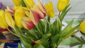 мои тюльпаны в деревне, жизнь в деревне