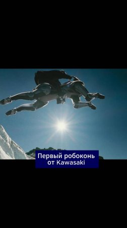 Робоконь на водороде