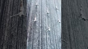 НАРЦИСС БЛИЗНЕЦОВОЕ ПЛАМЯ 5 часть