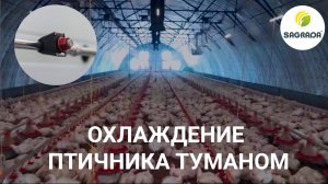 Система охлаждения птичника туманом: как спасти бройлеров от жары?