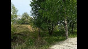 12.05.2019 09:14, 12:39 и 13:04 воскресение. Наш дачный двор и дальний пруд. Солнечно и тепло.