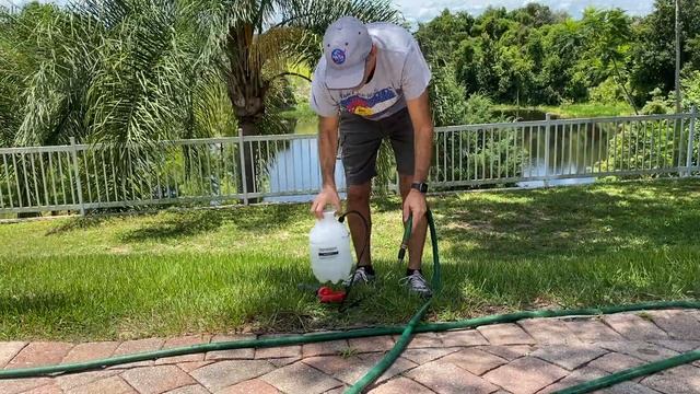 Kill Grass and Weeds With Salt смотреть онлайн