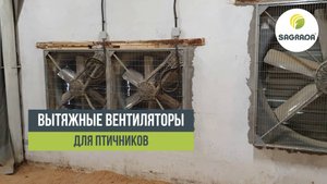 Вытяжные вентиляторы для птичников | Оборудование SAGRADA