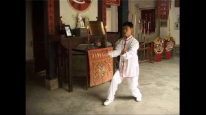 穿 心 中 拳 (Chuan xin zhong quan)