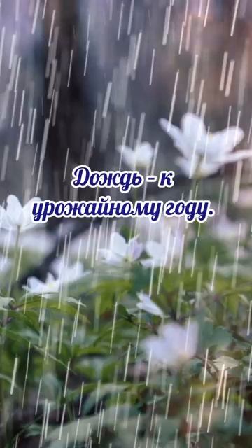 10 апреля# Илларионов день# приметы и обычаи