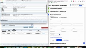 Запрос сведений в РАУ