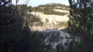 Прогулка в зимнем лесу . Нашли грибы  и отличное настроение