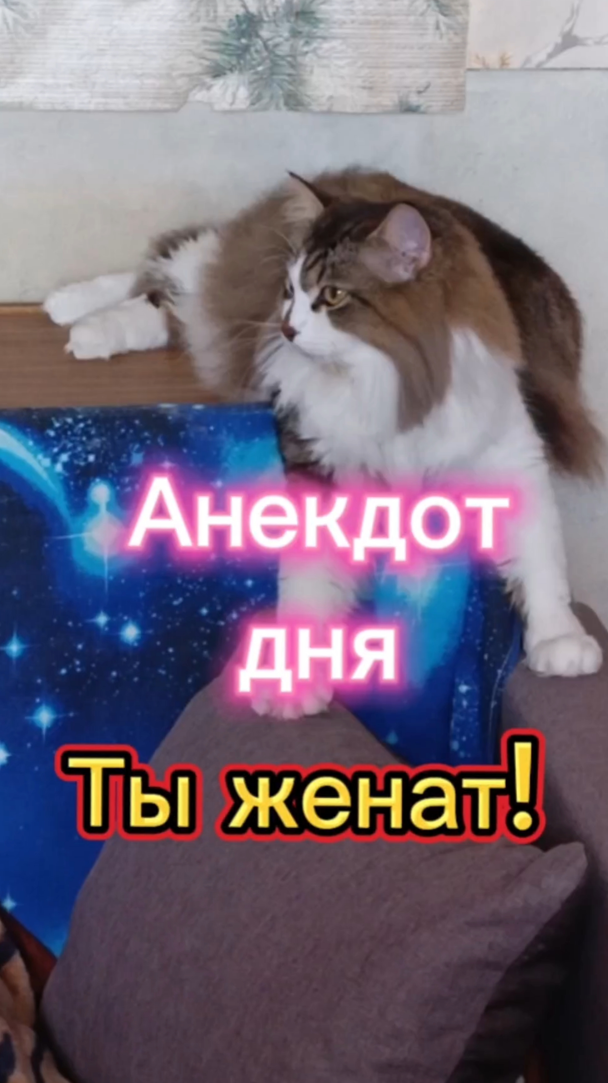 Анекдот дня. Ты женат