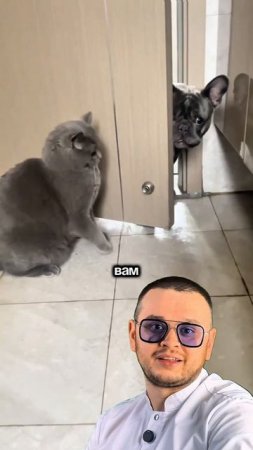 Дерзкое нападение!