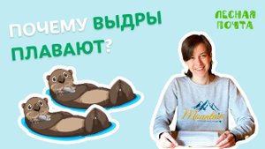 Почему выдры плавают? Лесная почта Лапландского заповедника