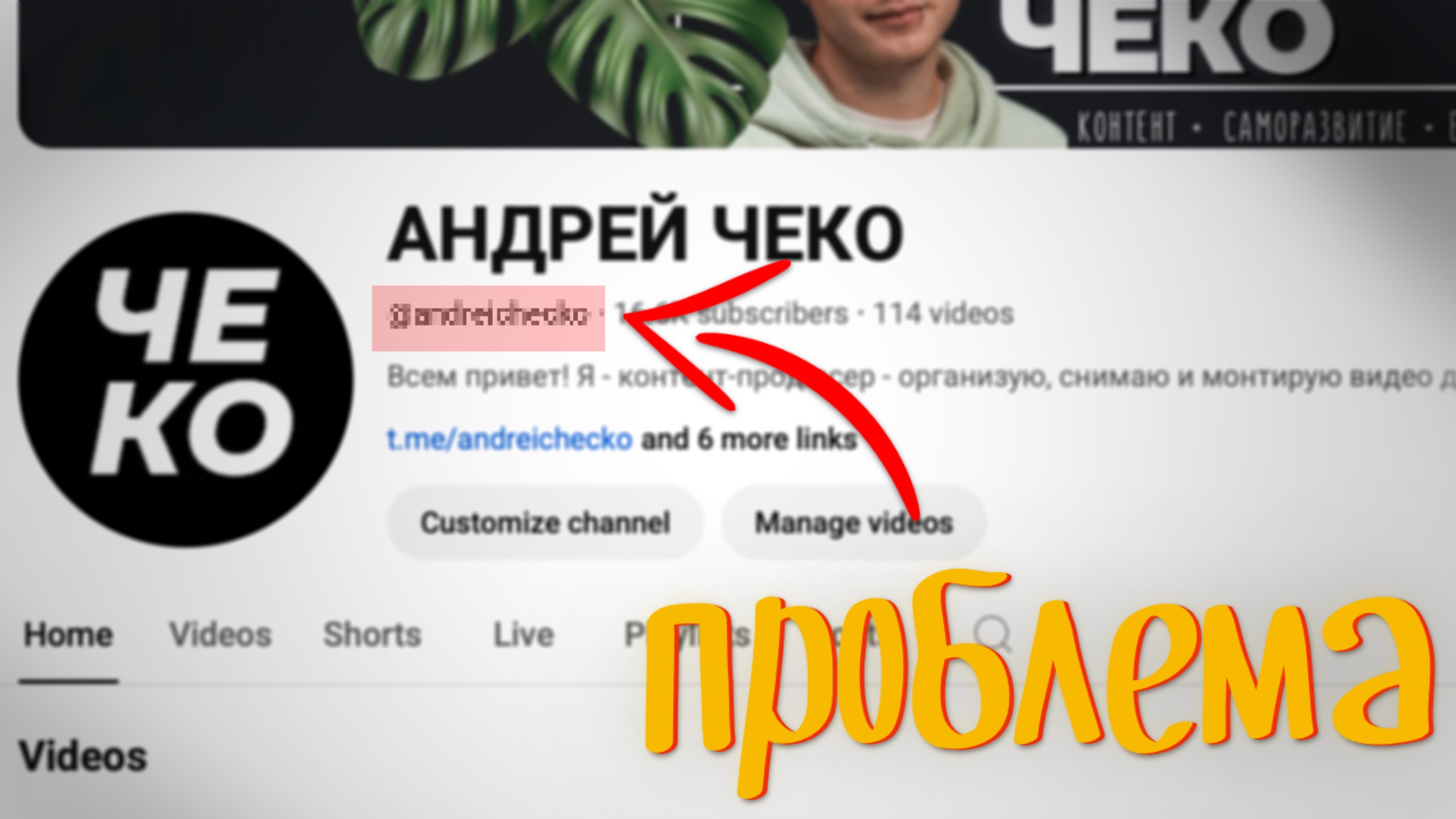 Как выбрать НИКНЕЙМ так, чтобы не пожалеть | для брендов и блогеров