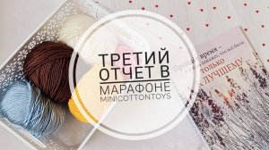 Третий отчет по марафону MINIcottontoys