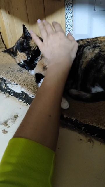 09-04-2025 смотреть онлайн