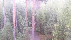 Радиолюбительский поход выходного дня.